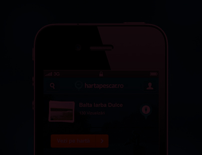 手机号接收平台